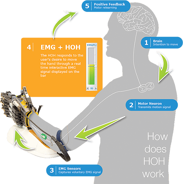 Hand of Hope product image