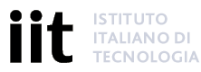 Istituto Italiano di Tecnologia – Rehab Technologies logo
