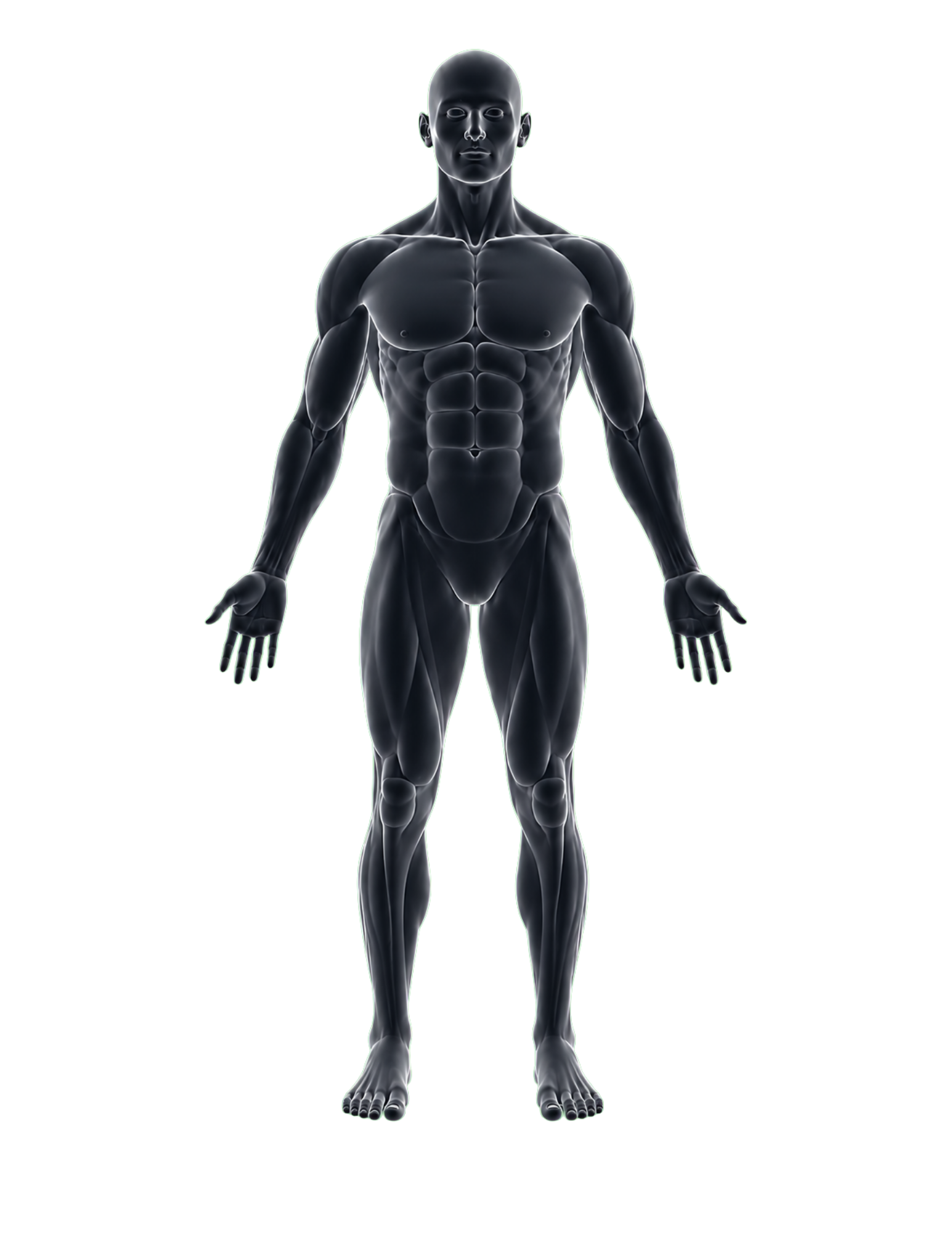 Full body support