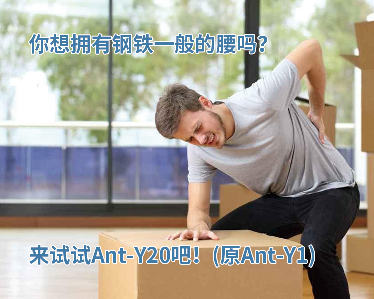Ant-Y20 product image