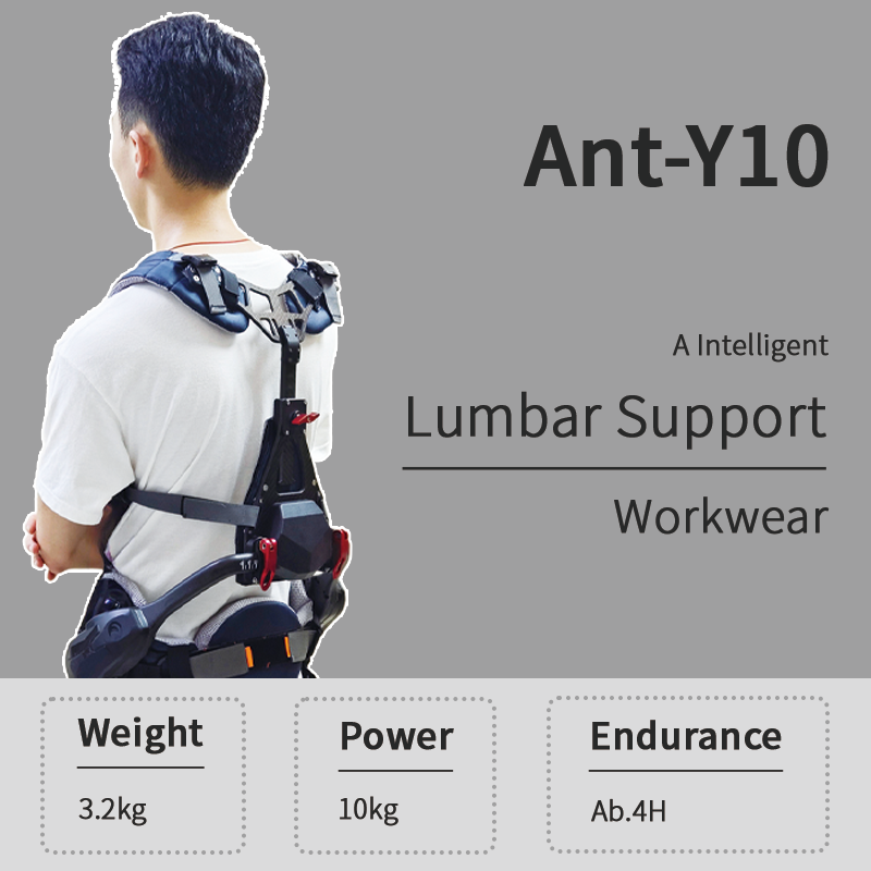 Ant-Y10 product image
