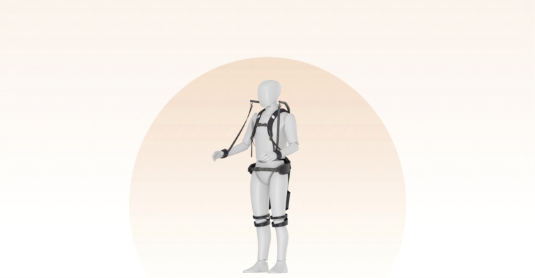 Awaist Lumbar Assist product image