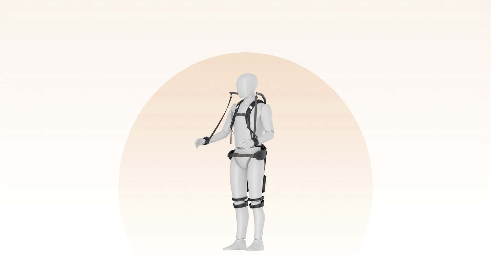 Awaist Lumbar Assist product image