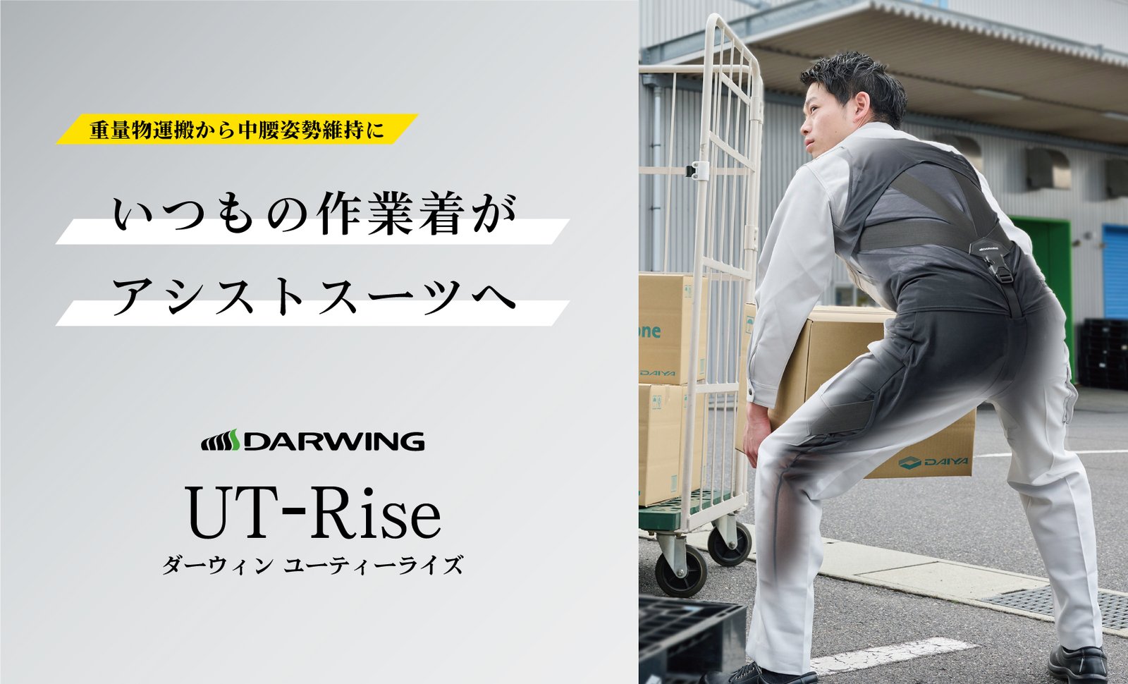 DARWING UT-Rise product image