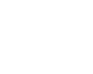 Buffalo Robot Tech logo